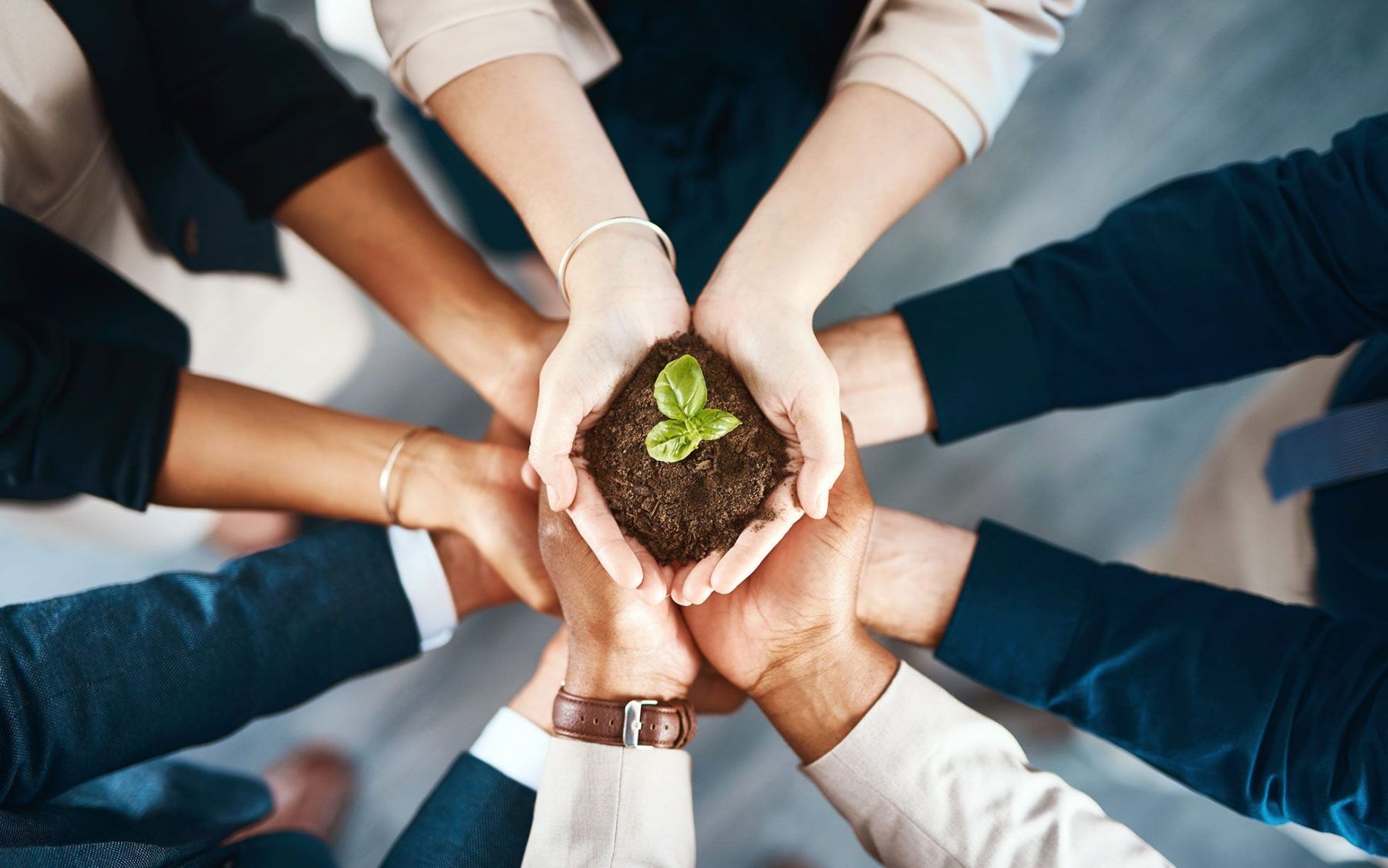 Business networking autentico